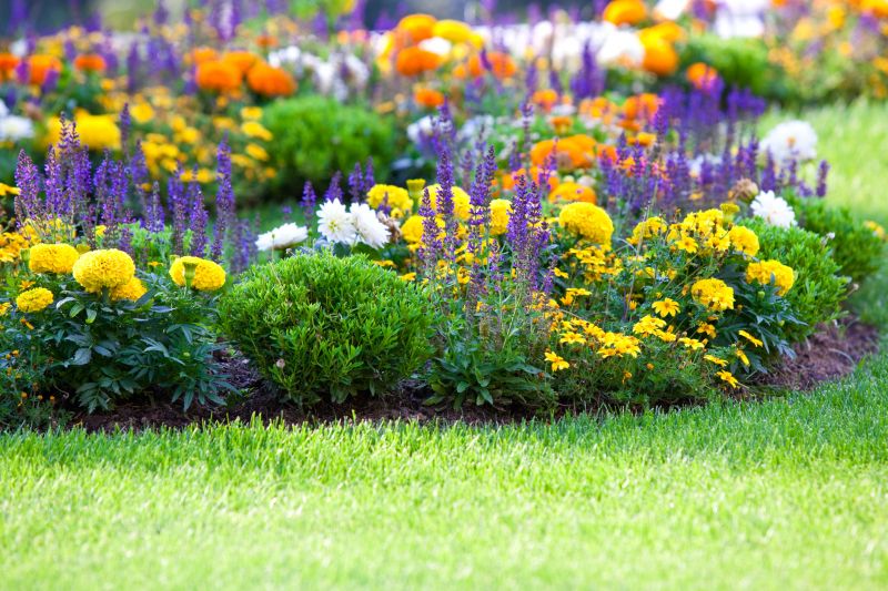 Flower Bed Design