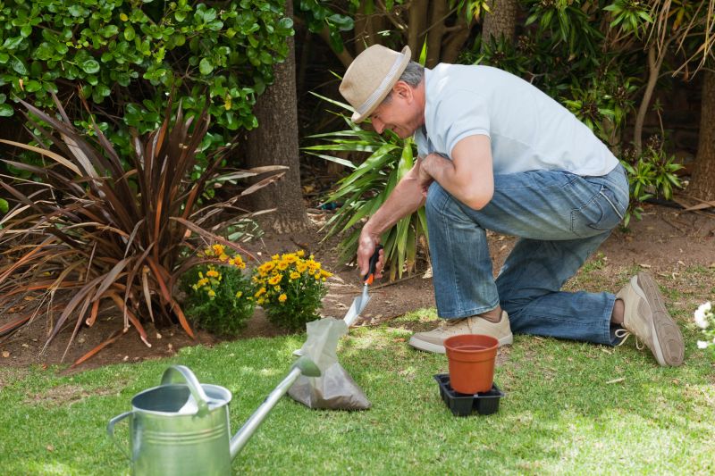Spring Gardening Activity