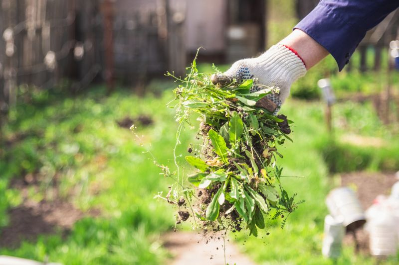 Products For Gardening Service in use