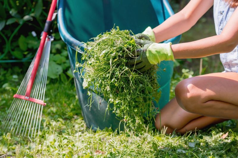 Top Rated Gardening Equipment for Landscapers